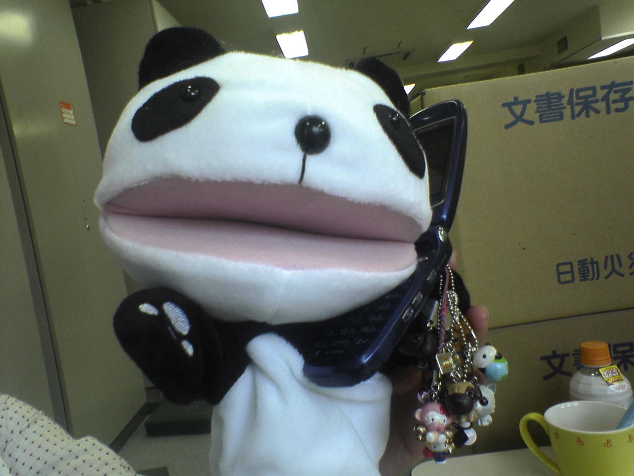 panda.JPG Size:115KB