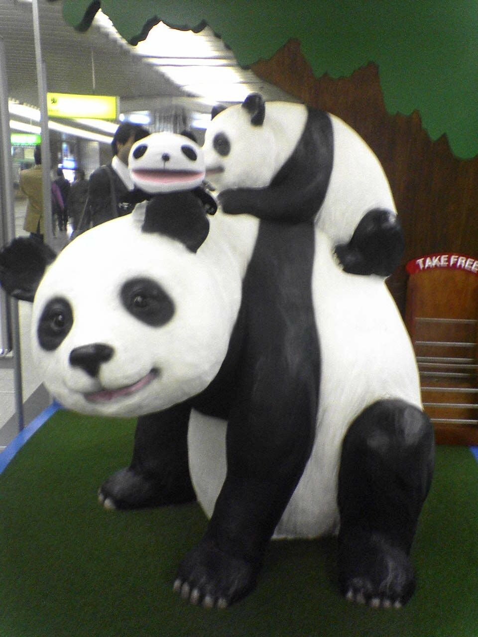 panda2.JPG Size:115KB