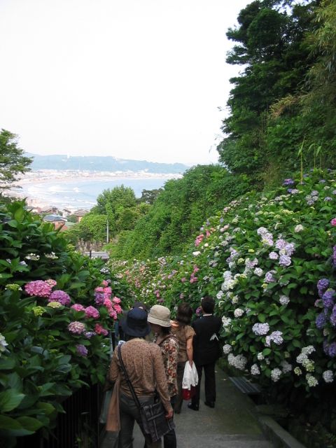 enoden.jpg Size:115KB