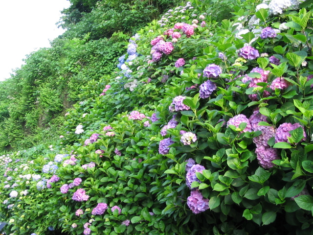 enoden.jpg Size:115KB